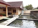 Rumah dijual di Cangkringan Cocok Untuk Masa Pensiun dengan Kolam IKan dan Kebun