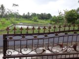 Rumah dijual di Cangkringan Cocok Untuk Masa Pensiun dengan Kolam IKan dan Kebun