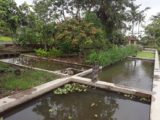 Rumah dijual di Cangkringan Cocok Untuk Masa Pensiun dengan Kolam IKan dan Kebun