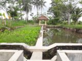 Rumah dijual di Cangkringan Cocok Untuk Masa Pensiun dengan Kolam IKan dan Kebun