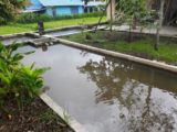 Rumah dijual di Cangkringan Cocok Untuk Masa Pensiun dengan Kolam IKan dan Kebun