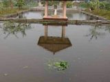 Rumah dijual di Cangkringan Cocok Untuk Masa Pensiun dengan Kolam IKan dan Kebun