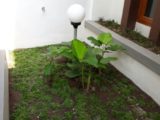 Rumah Dijual Konsep Minimalis Moderen di  Kalasan Sleman Yogyakarta