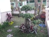 Rumah dijual di Dekat Bele Hinggil Jl Kaliurang Km 8 Sleman Yogyakarta