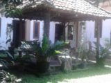 Rumah Etnik Jawa Moderen di Jual di Kasongan Yogyakarta