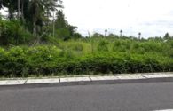 Tanah dijual SHM Pekarangan Tepi Aspal Barat Jl Kaliurang km 15 Sleman Yogyakarta