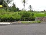 Tanah dijual SHM Pekarangan Tepi Aspal Barat Jl Kaliurang km 15 Sleman Yogyakarta