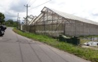 Tanah Dijual di Cangkringan Selatan Lokasi Asri Cocok Untuk Masa Pensiun