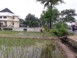 Tanah Dijual di Samping RS PDHI Jl Solo-Yogyakarta