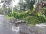 Tanah Cantik Posisi Hook Di Dekat Mirota Batik Jakal / Kopi Klotok Pakem Sleman Yogyakarta
