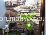 Rumah 2 Lantai Dijual Di Seputar Jl Wahit Hasyim Timur Hartono Mall Selman Yogyakarta